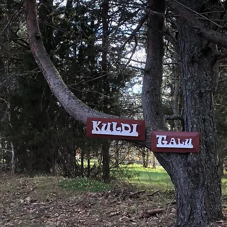 Kuldi Mirror House *