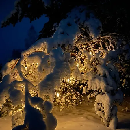 Kuldi Mirror House Σαλέ