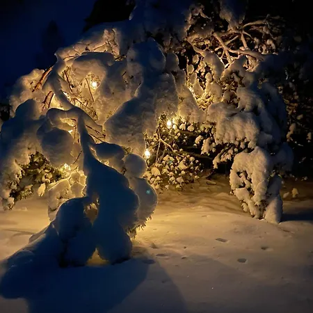 Kuldi Mirror House Brvnara