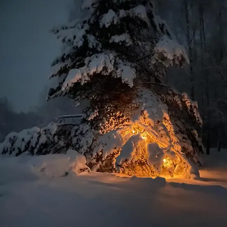Chalet Kuldi Mirror House Koigera