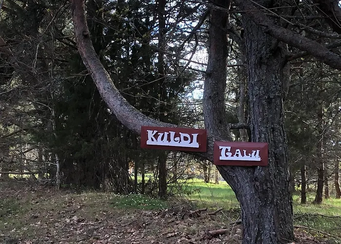 Kuldi Mirror House *