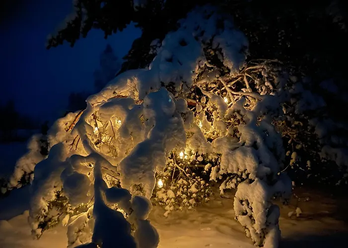 Kuldi Mirror House Σαλέ