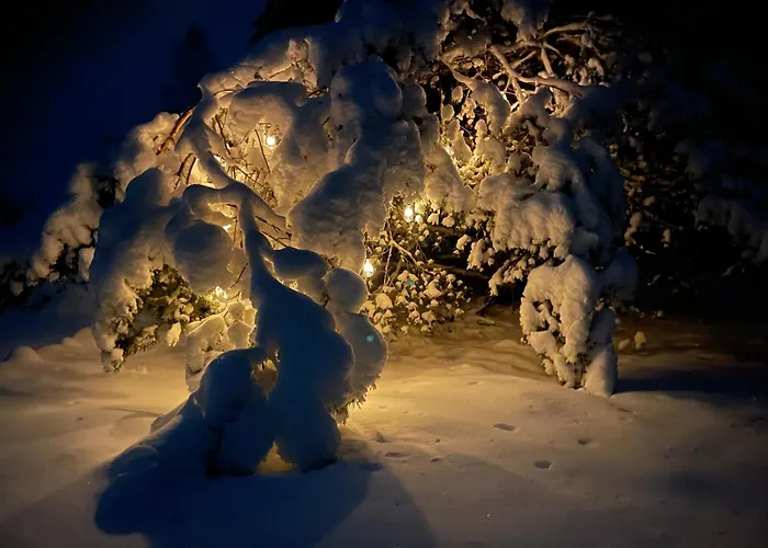 Kuldi Mirror House Σαλέ