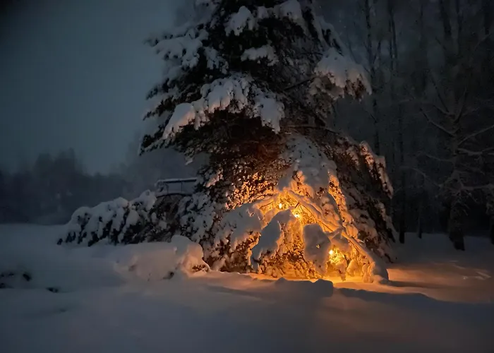 Chalet Kuldi Mirror House Koigera